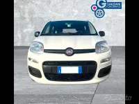 Usata Fiat Panda S 70 CV (51 kW) 2021 Bianco gelato Utilitaria