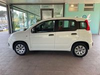 usata Fiat Panda 1.2 69cv S&S E6d-Temp Pop