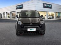 usata Fiat Panda Cross 1.0 FireFly 70cv S&S Hybrid