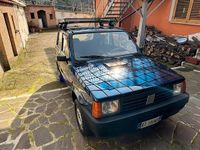 Usata Fiat Panda 54 CV (39 kW) 2003 Blu Berlina