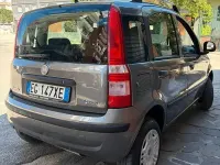 Usata Fiat Panda Dynamic 77 CV (56 kW) 2011 Grigio Utilitaria