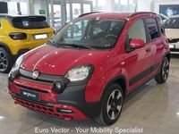 Usata Fiat Panda Cross Cross 69 CV (50 kW) 2024 Rosso Utilitaria