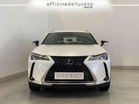 Usata Lexus UX 250h Business Edition 184 CV (135 kW) 2021 Other SUV