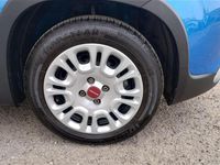Usata Fiat Panda 70 CV (51 kW) 2024 Blu italia Utilitaria