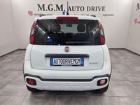 usata Fiat Panda Cross 1.0 FireFly S&S Hybrid