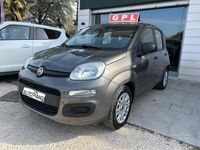 Usata Fiat Panda 69 CV (50 kW) 2020 Grigio Utilitaria