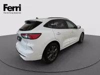Usata Ford Kuga ST-Line 120 CV (88 kW) 2023 Bianco frozen SUV