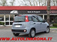 usata Fiat Panda 1.2 Easy 5 posti