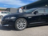 usata Jaguar XF 2.2d Portfolio 200cv auto