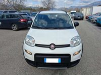 Usata Fiat Panda 4x4 S 86 CV (63 kW) 2020 Other Utilitaria