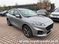 Usata Ford Kuga ST-Line 225 CV (165 kW) 2023 Grigio SUV