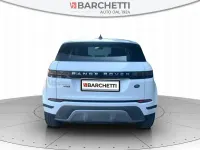 Usata Land Rover Range Rover evoque SE 150 CV (110 kW) 2020 Bianco SUV
