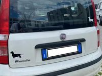 Usata Fiat Panda Dynamic 69 CV (50 kW) 2010 Bianco Utilitaria