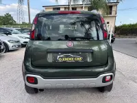 Usata Fiat Panda Cross Cross 95 CV (69 kW) 2018 Verde Utilitaria