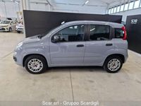 usata Fiat Panda 1.2 Easy