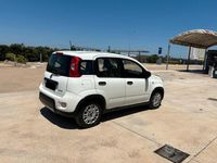 Usata Fiat Panda 70 CV (51 kW) 2023 Berlina