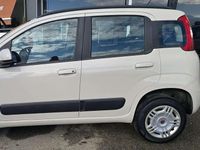 Usata Fiat Panda Lounge 80 CV (58 kW) 2017 Beige Utilitaria