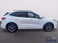 Usata Ford Kuga ST-Line 120 CV (88 kW) 2022 Frozen white SUV