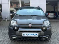 Usata Fiat Panda Cross Cross 69 CV (50 kW) 2020 Grigio Utilitaria