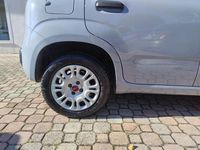 Usata Fiat Panda Easy 69 CV (50 kW) 2019 Grigio chiaro Utilitaria