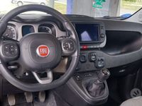 usata Fiat Panda Cross hybride