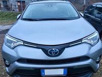 Usata Toyota RAV4 Hybrid 2018 Giallo SUV
