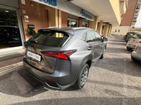 Usata Lexus NX300h Business Edition 155 CV (114 kW) 2019 Grigio SUV