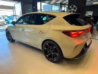 Nuova Cupra Leon 204 CV (150 kW) 2026 Beige Berlina