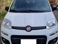 Usata Fiat Panda Trekking 75 CV (55 kW) 2015 Utilitaria