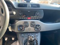 Usata Fiat Panda 4x4 Wild 84 CV (61 kW) 2022 Bianco Utilitaria