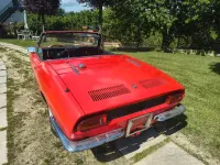 Usata Fiat 850 Sport 1970 Rosso Cabrio