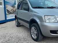 Usata Fiat Panda 4x4 Climbing 69 CV (50 kW) 2006 Grigio Utilitaria