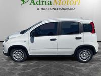 Usata Fiat Panda S 70 CV (51 kW) 2024 Bianco Utilitaria