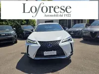 Usata Lexus UX 250h Business Edition 152 CV (111 kW) 2020 Bianco SUV