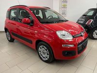 Usata Fiat Panda Easy 95 CV (69 kW) 2019 Rosso Utilitaria