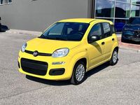 Nuova Fiat Panda Icon 2025 Giallo Utilitaria