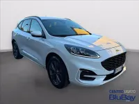Usata Ford Kuga ST-Line X 225 CV (165 kW) 2023 Bianco SUV