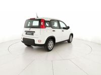 usata Fiat Panda 1.0 firefly hybrid s&s 70cv