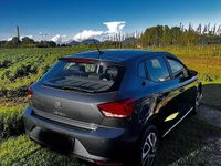 Usata Seat Ibiza Reference 90 CV (66 kW) 2023 Grigio Utilitaria