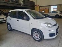 Usata Fiat Panda Easy 69 CV (50 kW) 2020 Bianco Utilitaria
