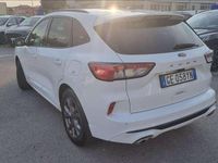 Usata Ford Kuga ST-Line 120 CV (88 kW) 2021 Bianco SUV