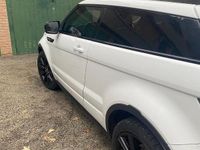 Usata Land Rover Range Rover evoque 190 CV (139 kW) 2011 Bianco SUV
