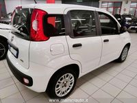 Occasion Fiat Panda 69 ch (50 kW) 2022 Blanc Citadine