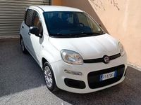 Usata Fiat Panda 69 CV (50 kW) 2019 Utilitaria