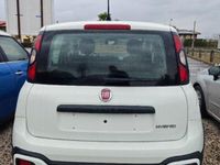 usata Fiat Panda Cross 1.0 FireFly S&S Hybrid OK NEOPATENTATI