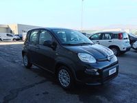 usata Fiat Panda My24 1.0 70cv Hybrid