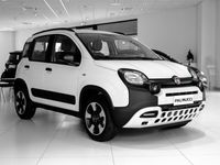 usata Fiat Panda 4x4 1.0 FireFly S&S Hybrid