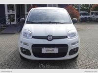 Usata Fiat Panda Pop 70 CV (51 kW) 2021 Bianco Utilitaria