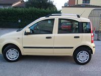Usata Fiat Panda Dynamic 59 CV (43 kW) 2010 Giallo Utilitaria