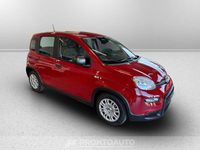 Usata Fiat Panda S 70 CV (51 kW) 2024 Rosso passione Utilitaria
